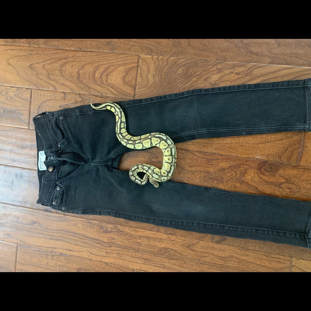 Abercrombie boys skinny jeans 9/10